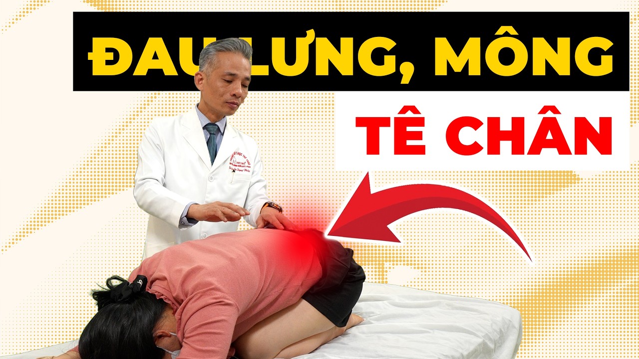 Đau mông đau lưng tê chân Đừng bỏ qua trước khi quá muộn! | Y học Thể thao Starsmec
