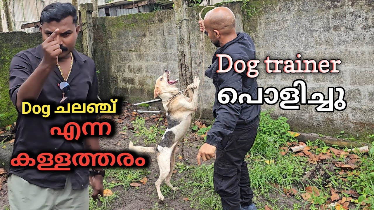 ഇത്രയും സിമ്പിൾ കാര്യം ആണ് Dog challenge.. Leash talks