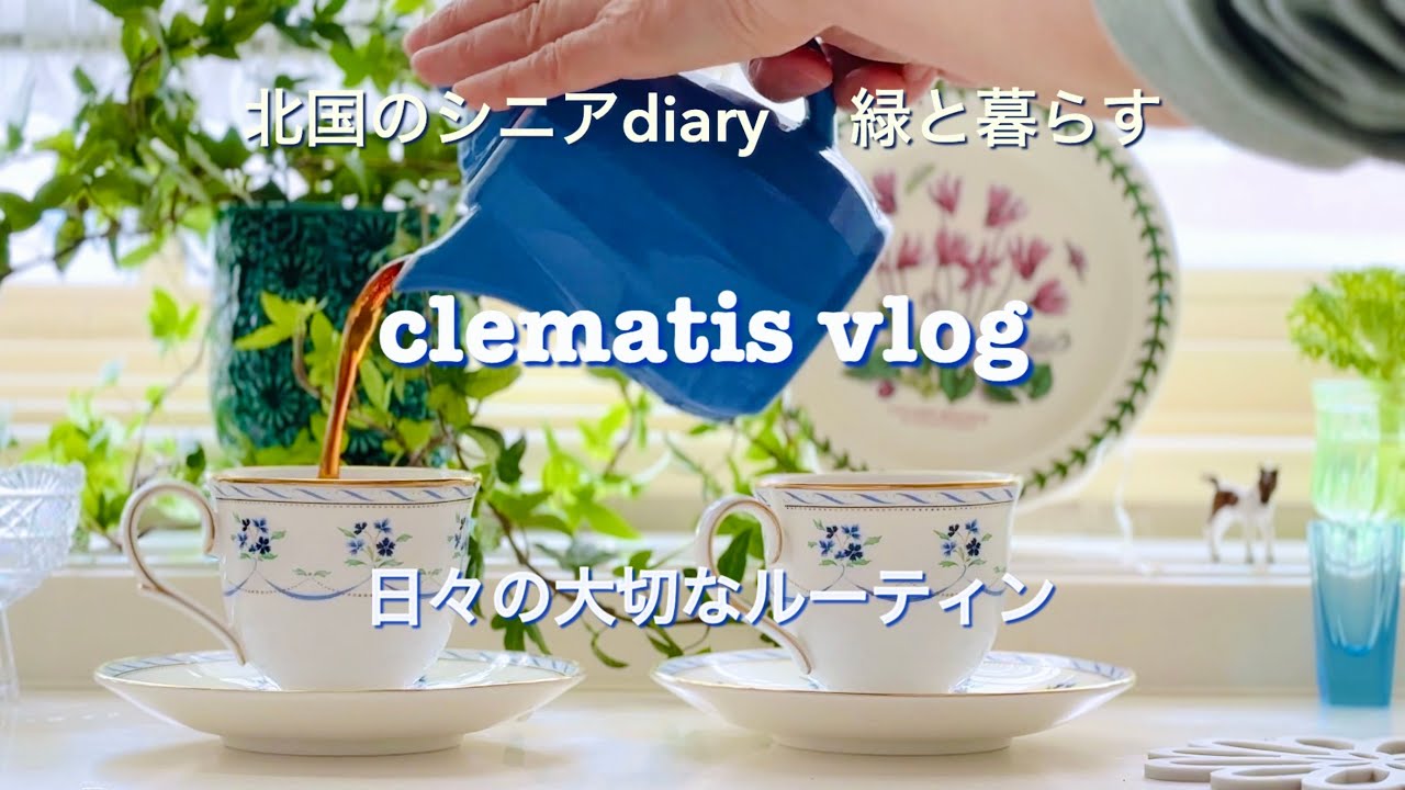 大切なルーティン｜変化した生活スタイル｜記録的な雪｜愛犬の様子｜犬介護食｜シニアライフ｜シニア夫婦｜植物好き｜暮らしのvlog|北国の暮らし｜シニアvlog＃ルーティン＃生活スタイル＃シニア＃豪雪