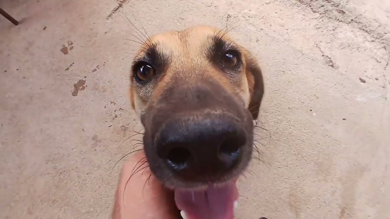 DEPOIS QUE LUNA FOI EMBORA