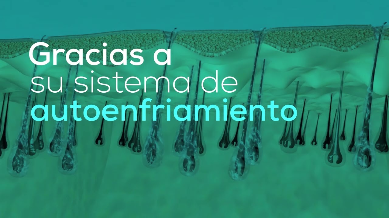 Linscan - Sistema de depilaci&oacute;n laser de diodo -