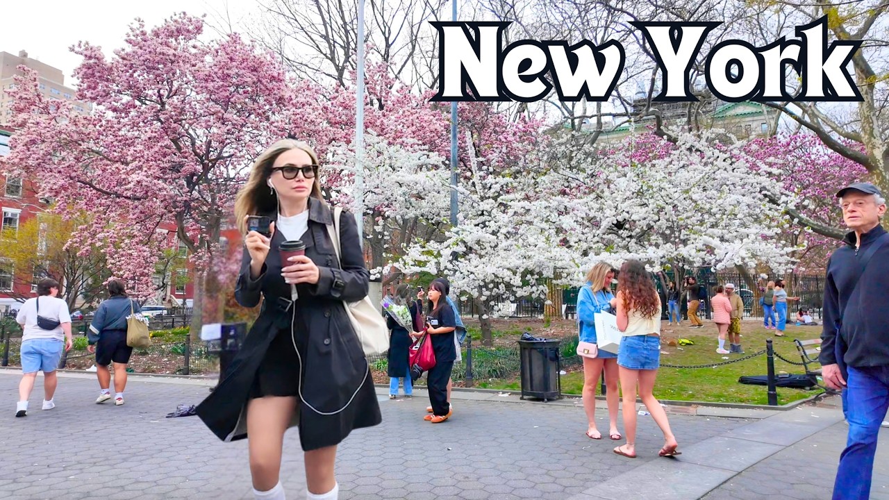 NYC Looks Like This in Spring 🌸 Cherry Blossom Walk [4K]