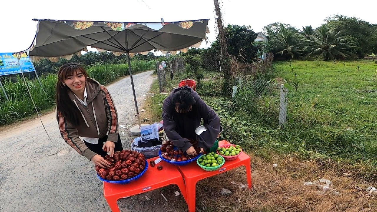 Various short videos of the countryside near Binh Ninh, Tien Giang province, Vietnam.