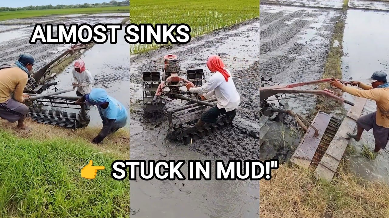 Tractor Almost Stuck in Deep Mud! Traditional Rice Farming in Extreme Conditions 🚜🌾