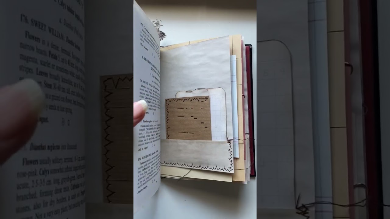 Family Album journal: A concept heirloom journal