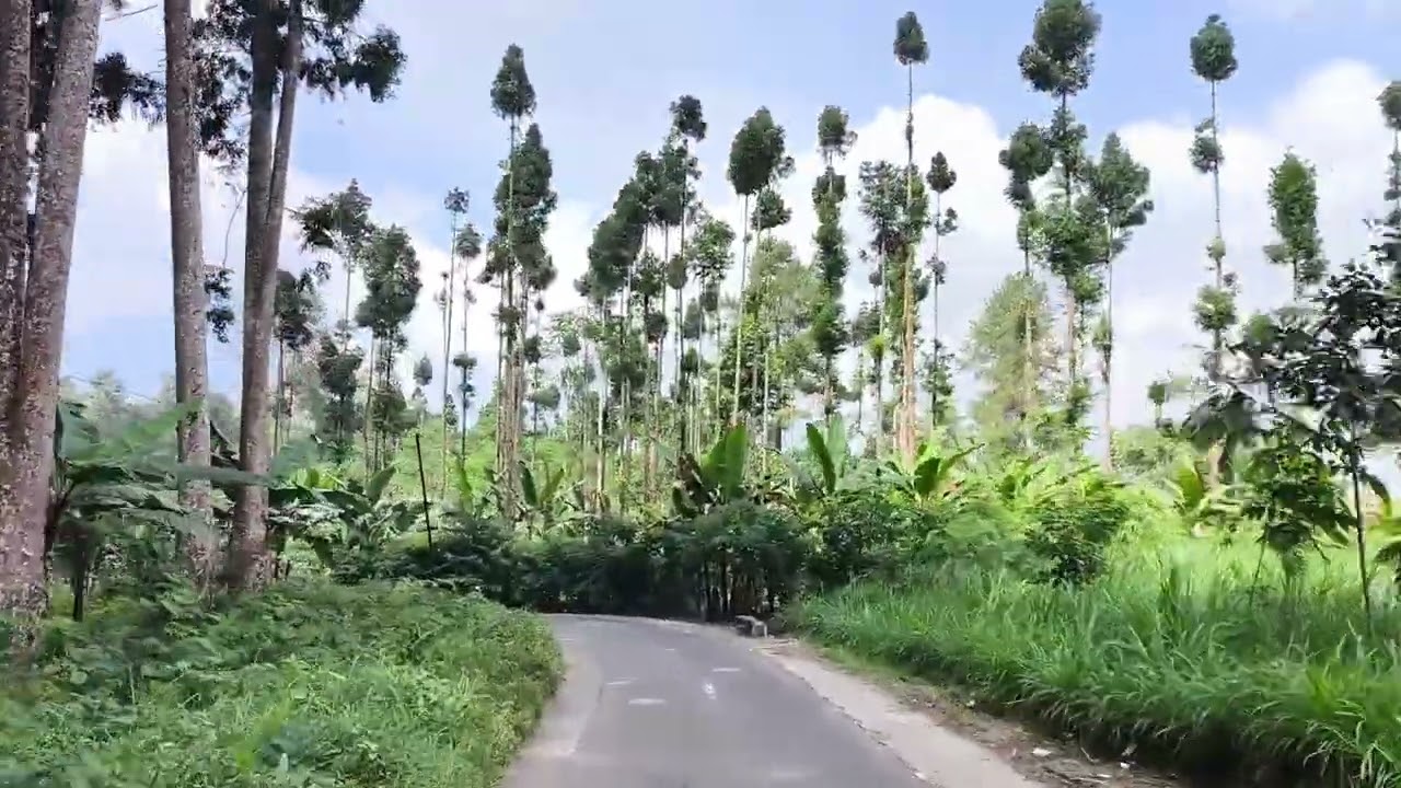 MasyaAllah begitu indah puncak B29