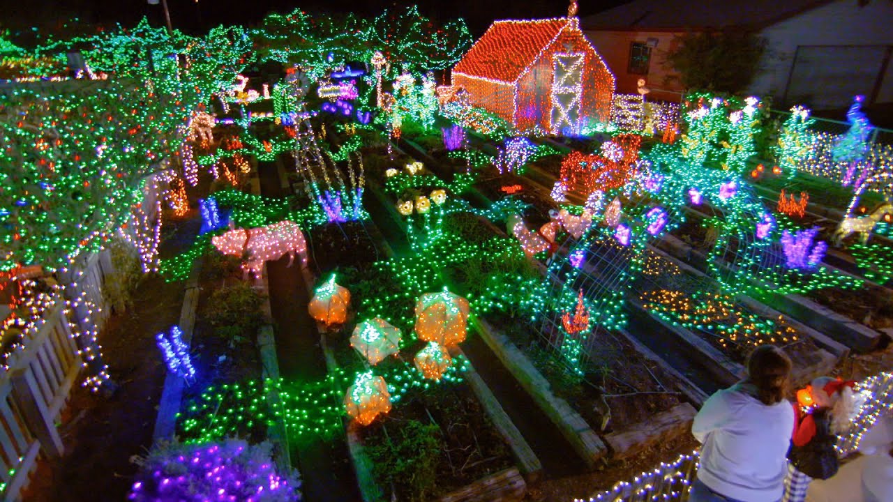 Reynolds Family's Unique Garden Theme Delights - The Great Christmas Light Fight
