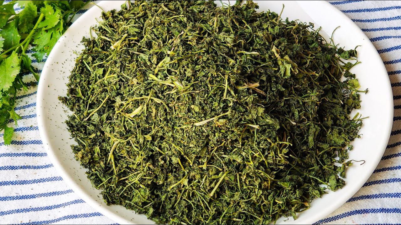 साल भर धनिया पत्ता रखने का तरीका l How to dry and store Coriander Leaves for a year l Dry Dhaniya