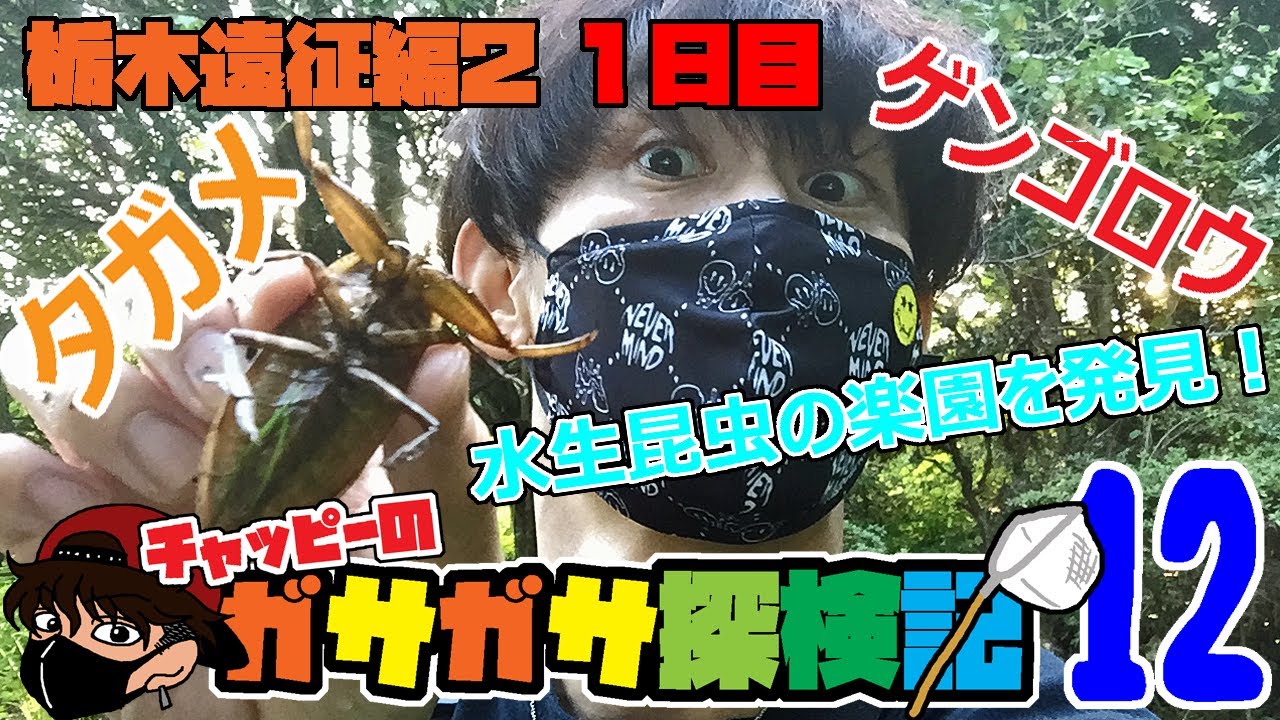 【チャッピーのガサガサ探検記】#12 水生昆虫の楽園を見つけました！