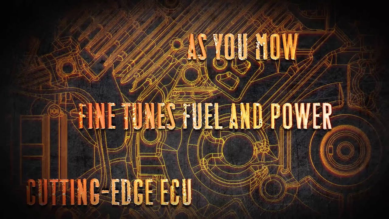 Kawaski EFI Engine