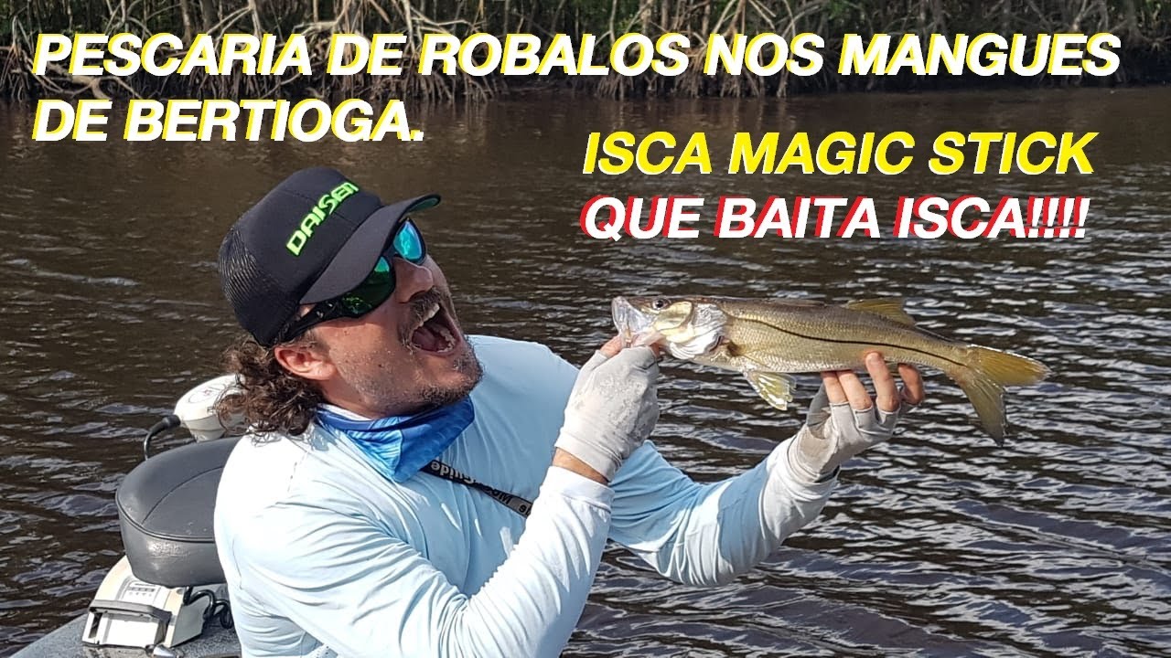 Pescaria de Robalos nos Mangues de Bertioga com a Isca de superfície Magic Stick do Nelson Nakamura