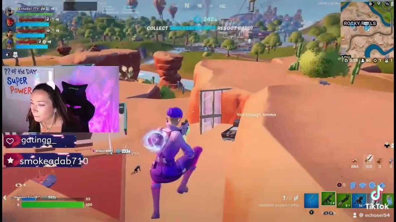 Cracked at Fortnite. Streaming on Twitch @echosei