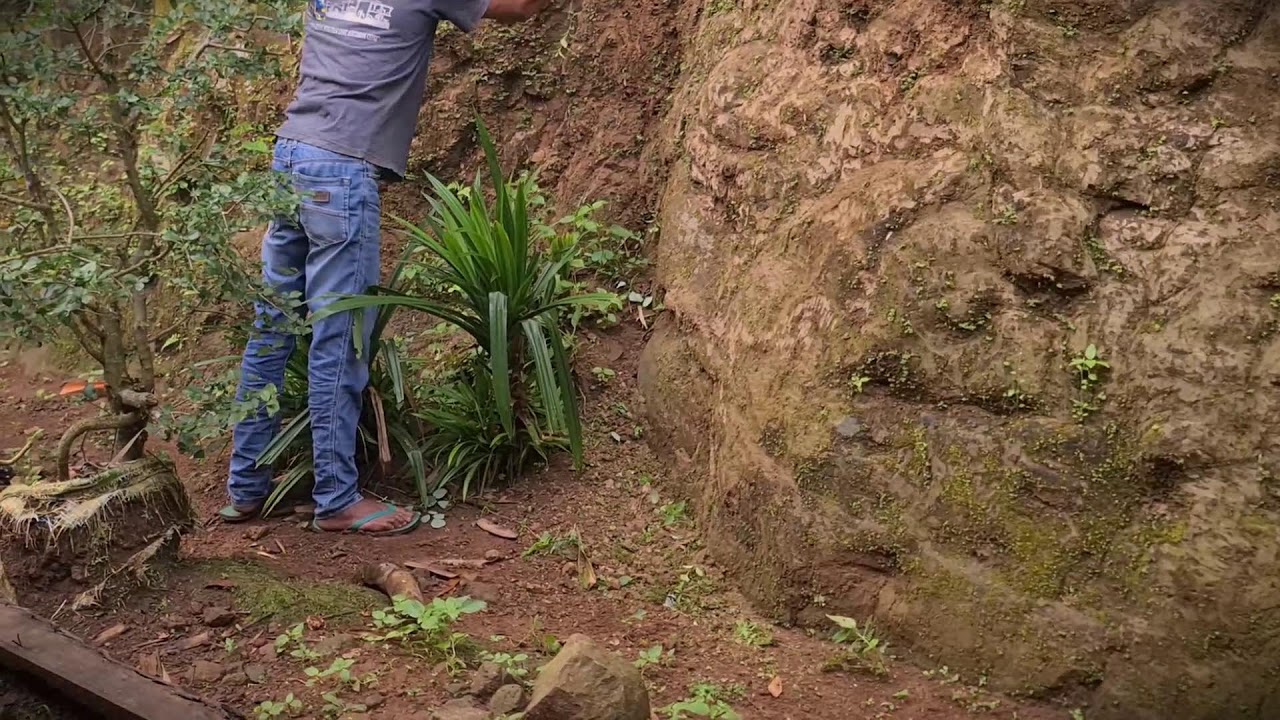 Home Improvement: Cleaning Steep Walls with Manual Tools _FarmersLife _Shorts