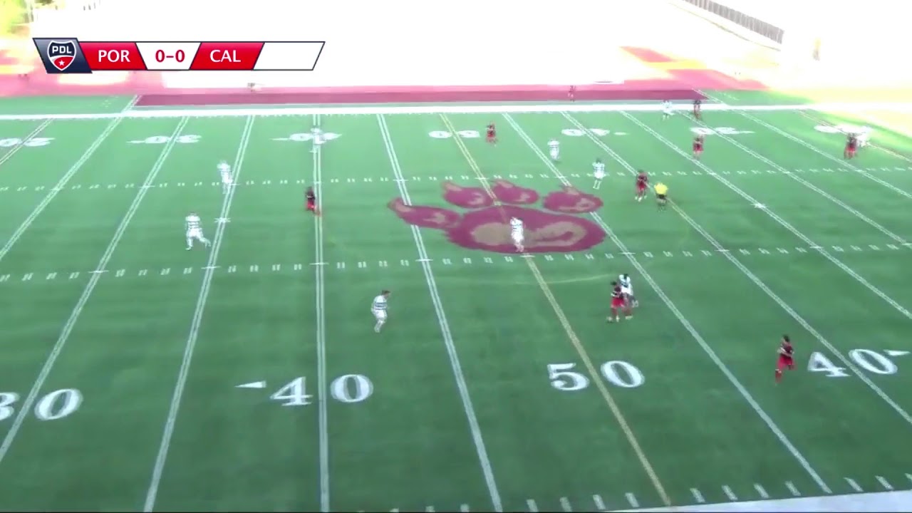 William Akio Skills and Goals - 2017
