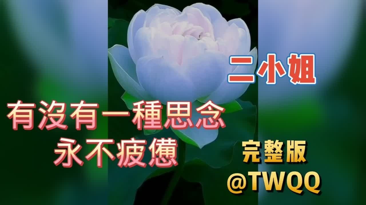 有没一種思念永不疲憊 完整🔸二小姐 繁體