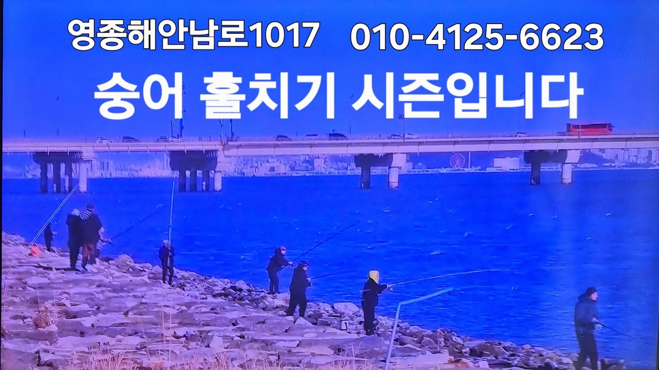 #영종도숭어훌치기2/21 11물 #2~12물오후들물때 #조기출조자리확보필수   #장타캐스팅이 필수입니다
