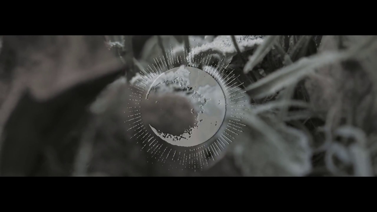 Nesseria - music video 