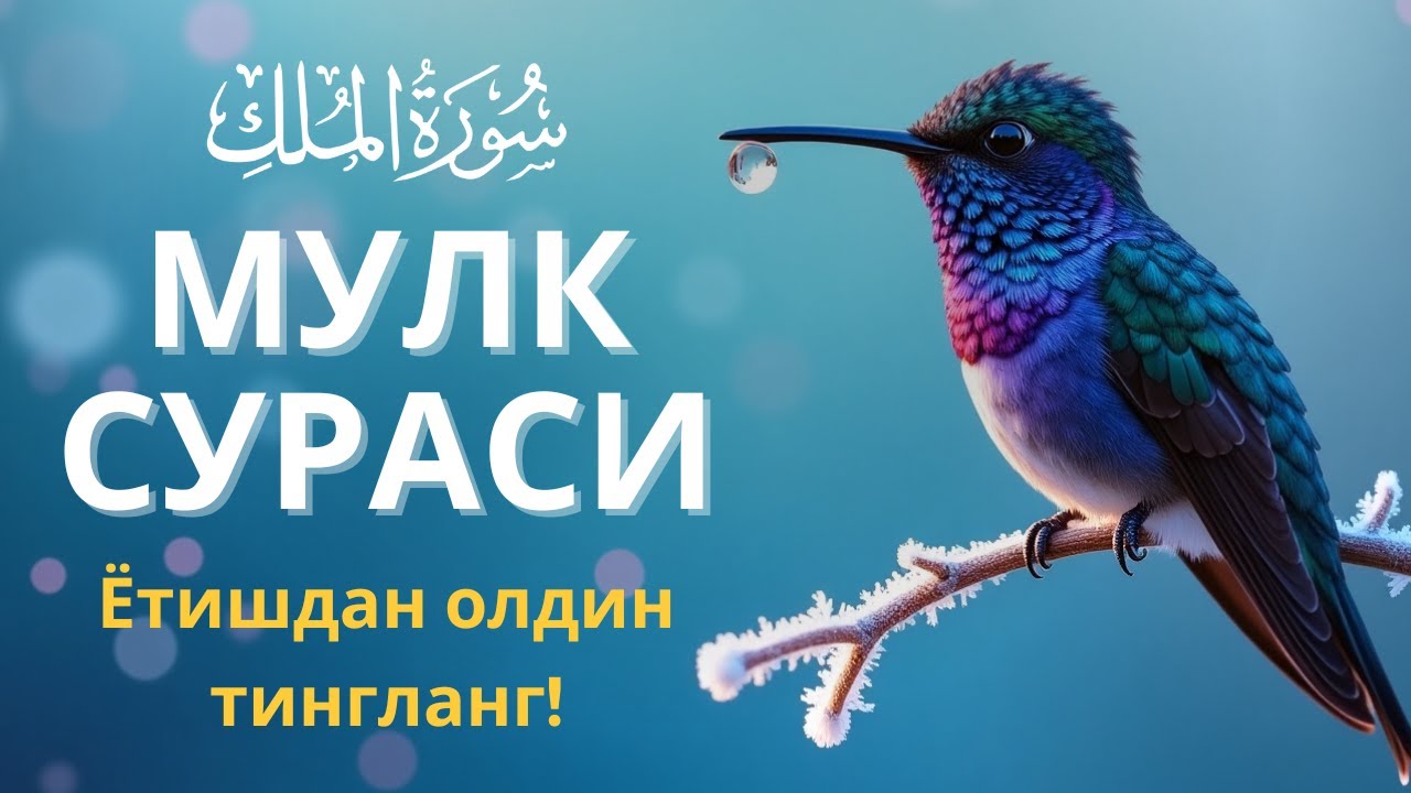 Мулк сураси - Ётишдан олдин тингланг! Тонги дуо / Mulk surasi - сура Мулк