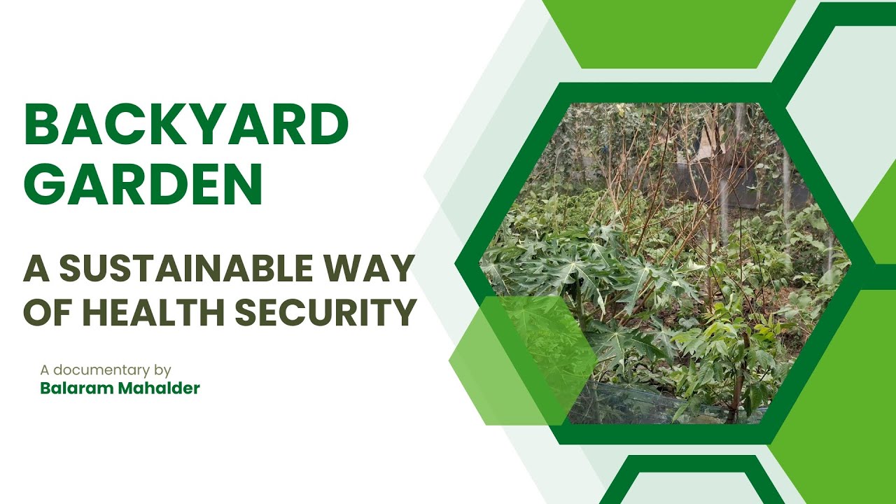 Backyard garden, a sustainable way of health security  #Balaram_Mahalder
