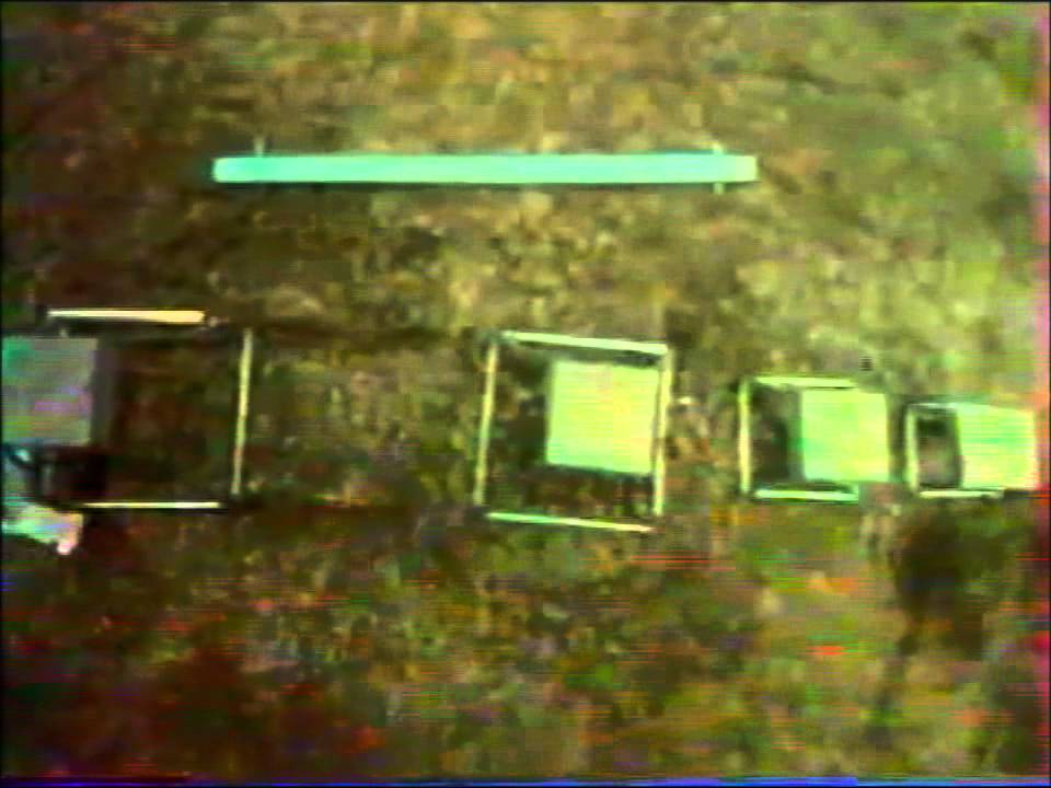 1975. Il numero di tigri di Nando Orfei al Circo delle Mille e Una Notte