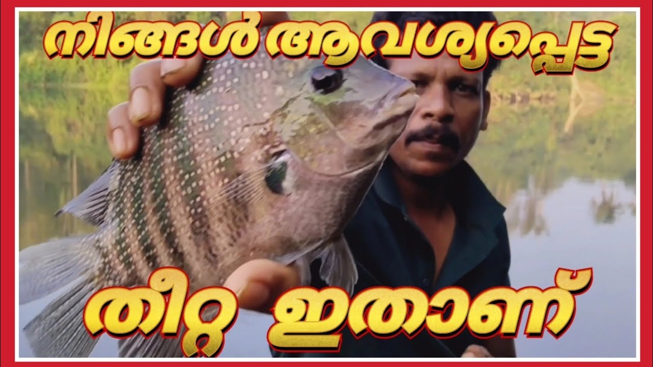 ഞാൻ തീറ്റ മിക്സ്സ് ചെയ്യുന്നത് ഇങ്ങനെയാണ് / 
