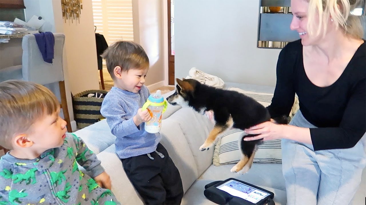 Baby Boy Loves His Birthday Present!