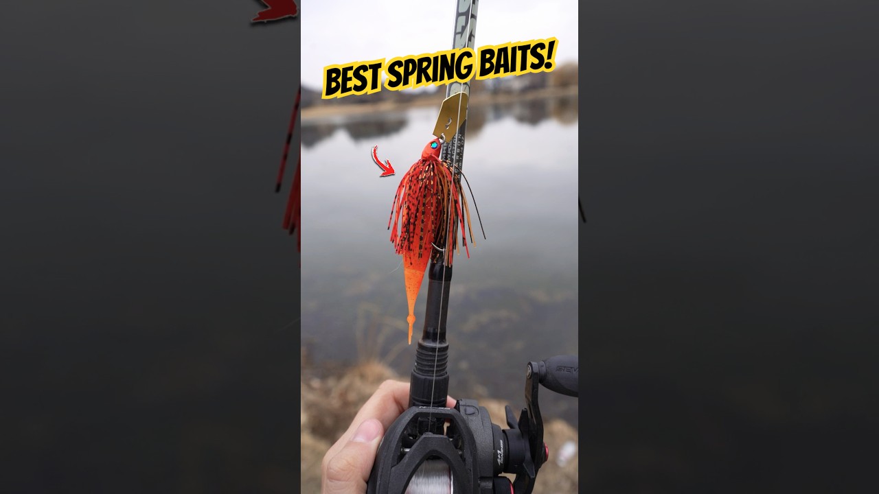 The 3 BEST Spring Bass Fishing Baits! 🔥🎣 #fishing