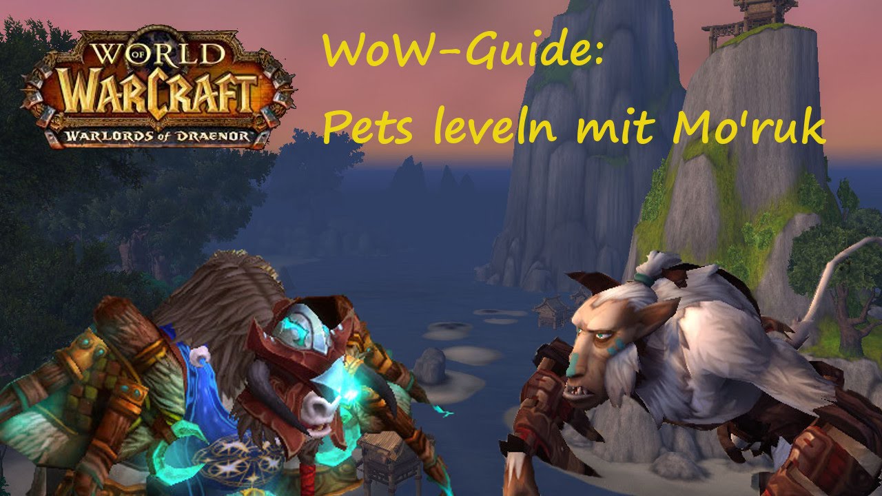 WoW-Guide: Pet-Leveln mit Mo'ruk