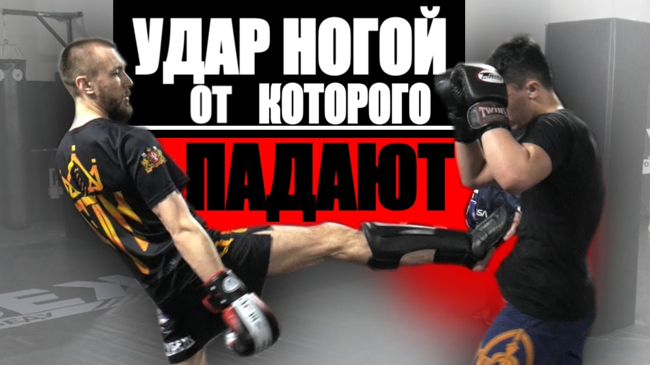САМЫЙ КОВАРНЫЙ удар ногой, от которого падают / тип (фронт кик) в ММА