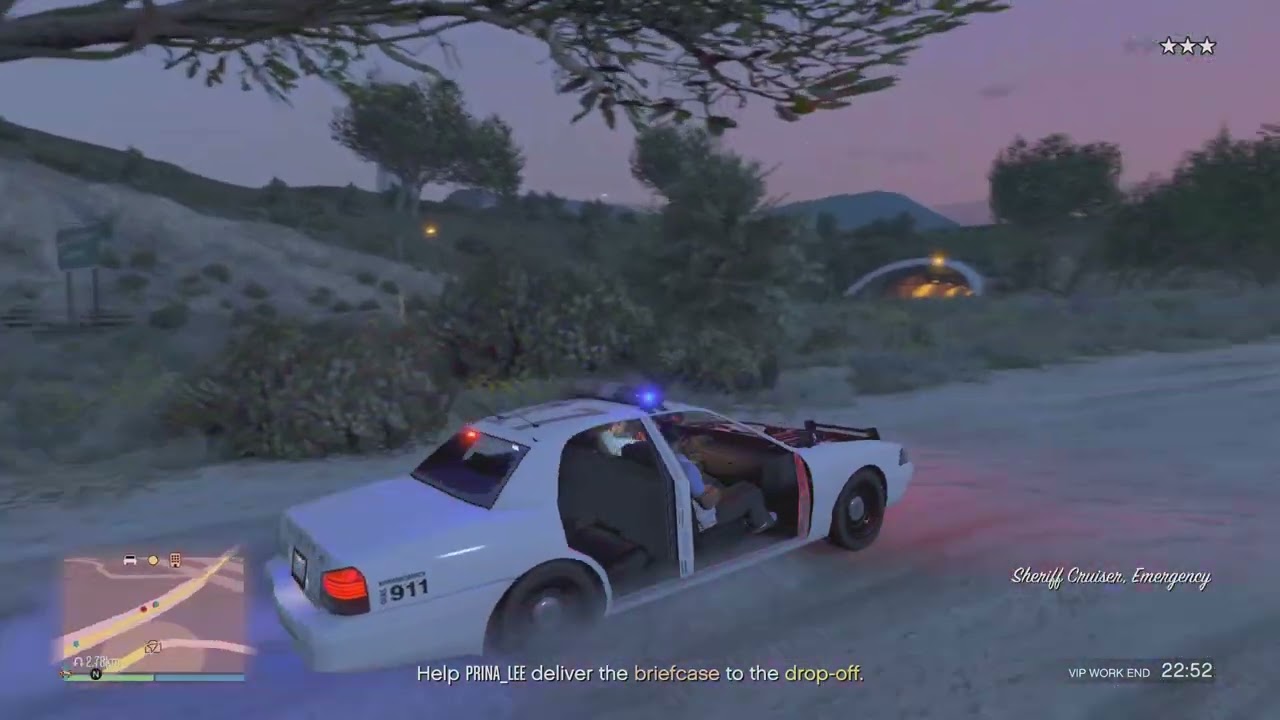 Escaping cops with the breifcase