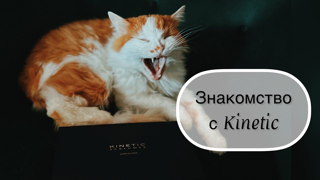 Новый бренд Kinetic Perfumes. Знакомимся вместе #leonawithcoffee