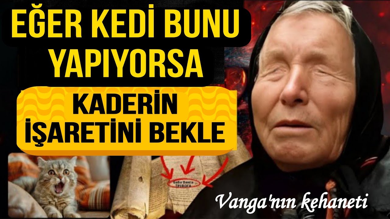 Baba Vanga’ya Göre: Kediler Doğru İnsanı Nasıl Bulur