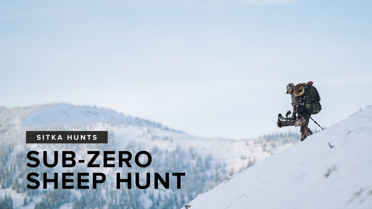 SITKA HUNTS | Bowhunting Bighorns in -25 °F