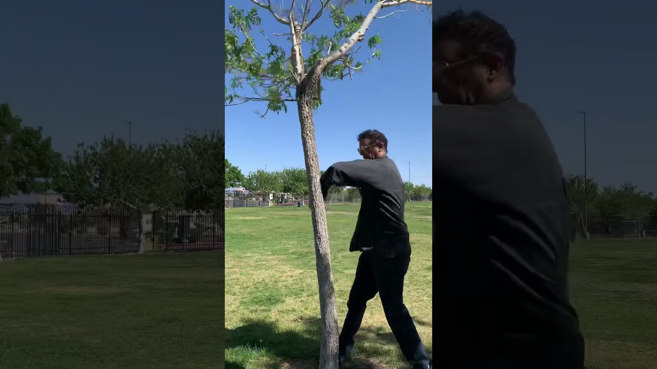 Wing chun training ! #short