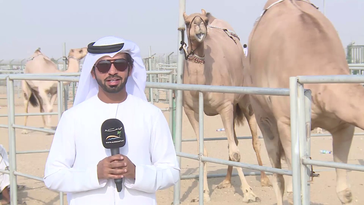 قناة الواحة تقدم مزاينة رزين ٢٠١٨ -  اليوم الثاني