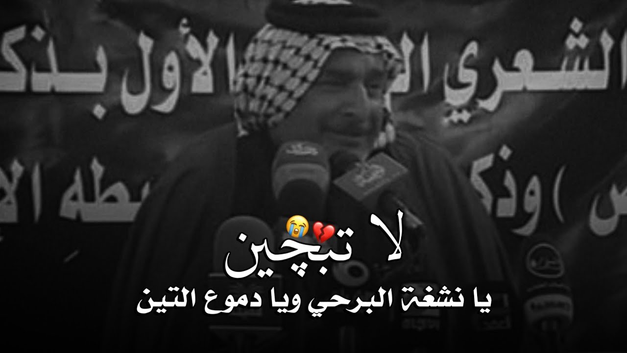 لا تبجين يازهگة اللبوه وياصبر شاهين || الشاعر سعد محمد الحسن || قصيدة تجنن للسيده زينب (ع)
