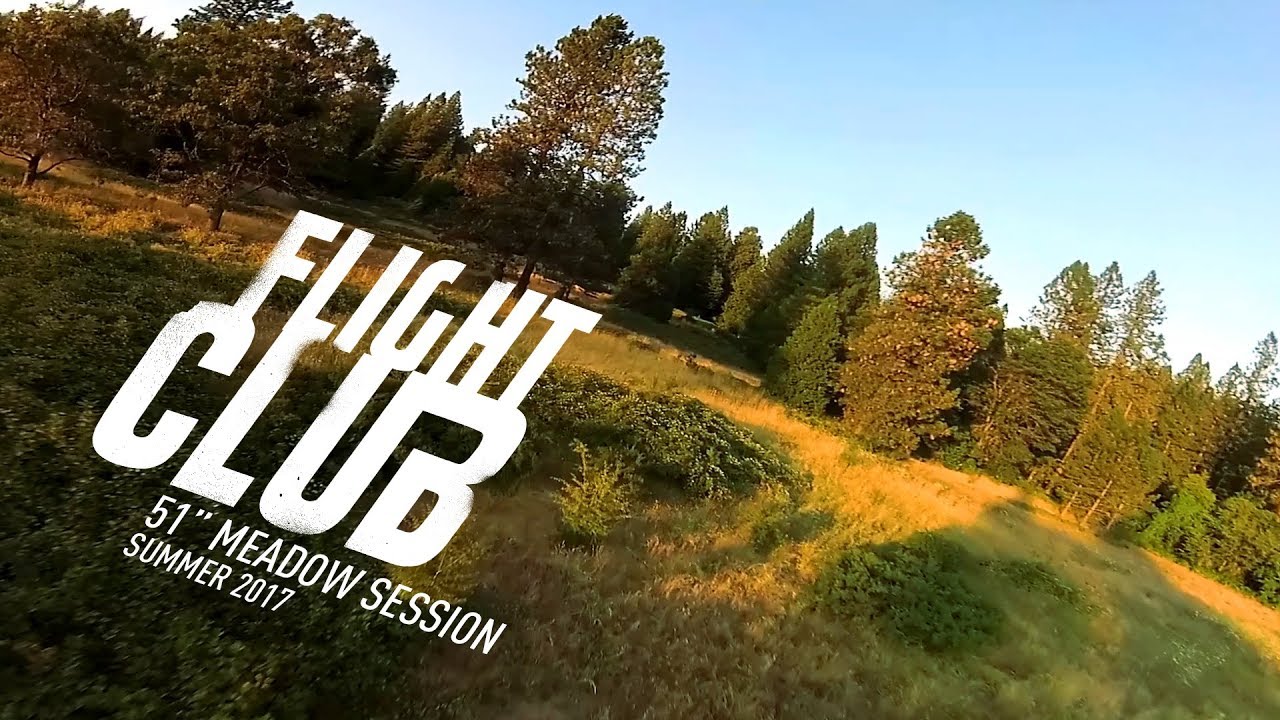 FPV Flying Wing - Slow and Low in the Meadow