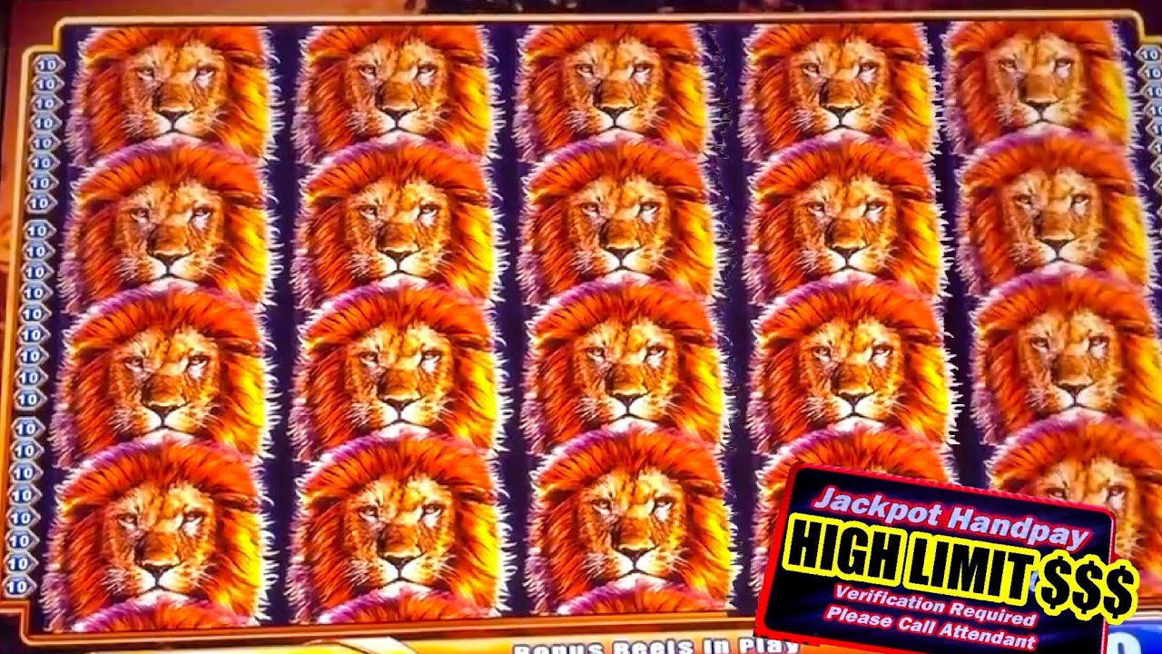 INSANE KING OF AFRICA BONUS HIGH LIMIT