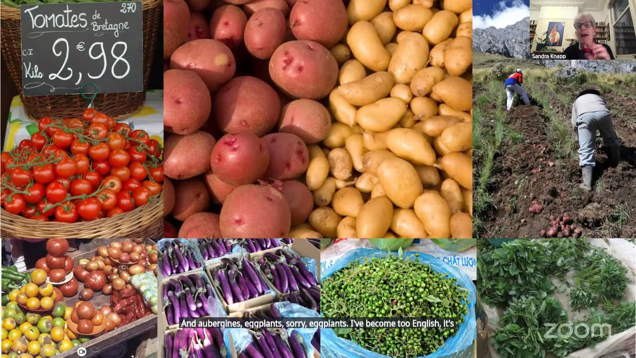 Of course taxonomy matters! The story of the mega-genus Solanum (Solanaceae) - Sandra Knapp