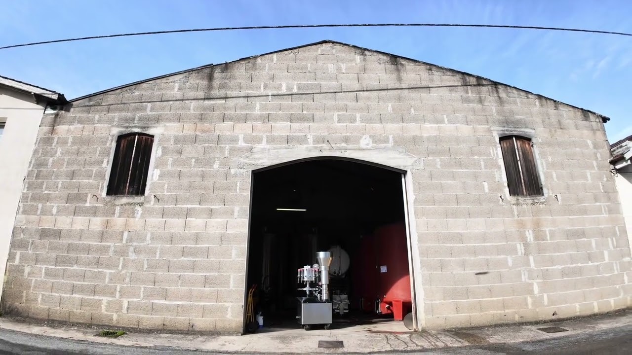 Reportage au coeur d'un Chai Bordelais 🍷