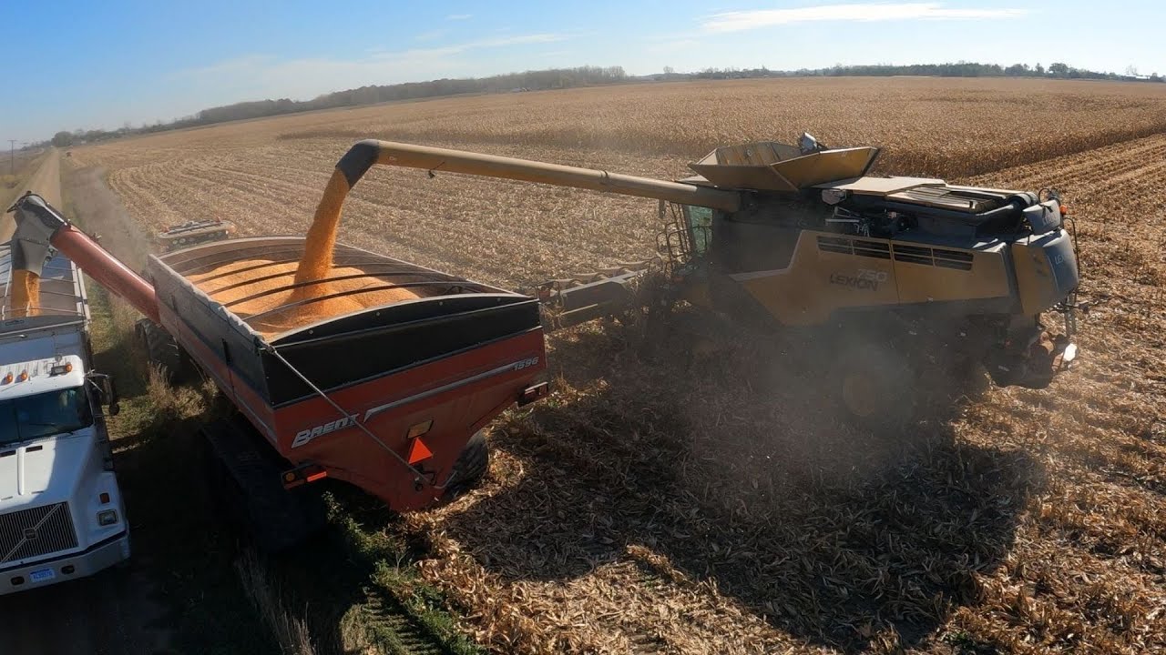 Power Fill - Corn Harvest 2020 Chase - CLAAS Lexion 750 - Challenger MT775E - Brent 1596 Avalanche