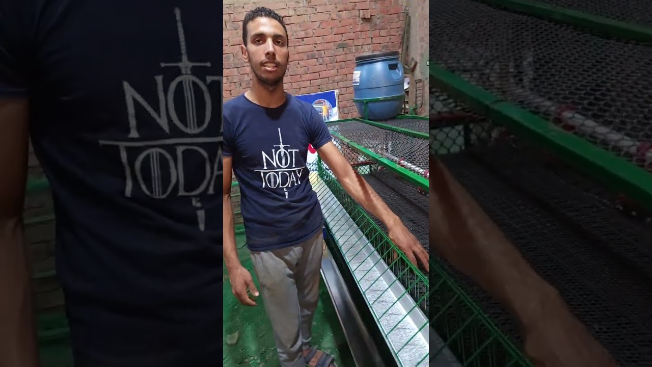 يوسف محمد مصنع المصطفى السعر والتفاصيل على التليفون 01002398309/01129355812