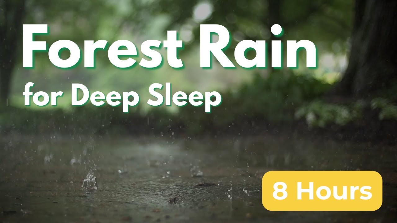 Forest Rain for Sleep (8 Hours) | Gentle Rain in the Woods