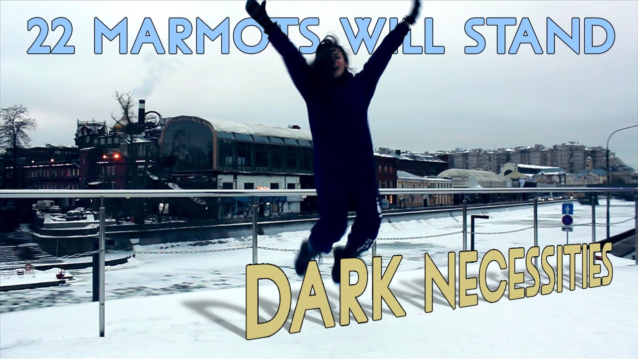 22 Marmots Will Stand – Dark Necessities (RHCP Cover)
