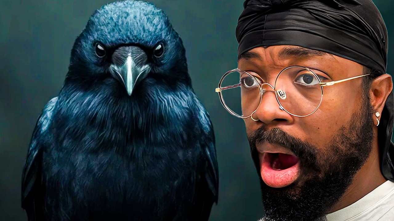 A Whole City Tried To OutSmart These Birds... They Lost