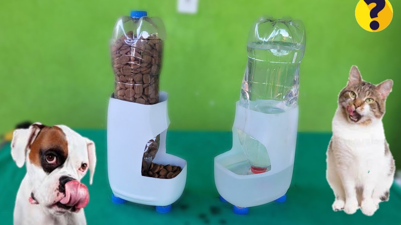 criatividade e tudo como fazer bebedouro e comedouro autom&aacute;tico para pet com embalagem de amaciante