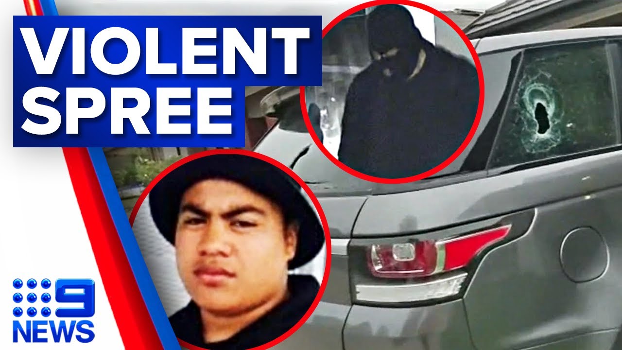 A violent thug faces charges over armed robbery and burglary in Melbourne | 9 News Australia