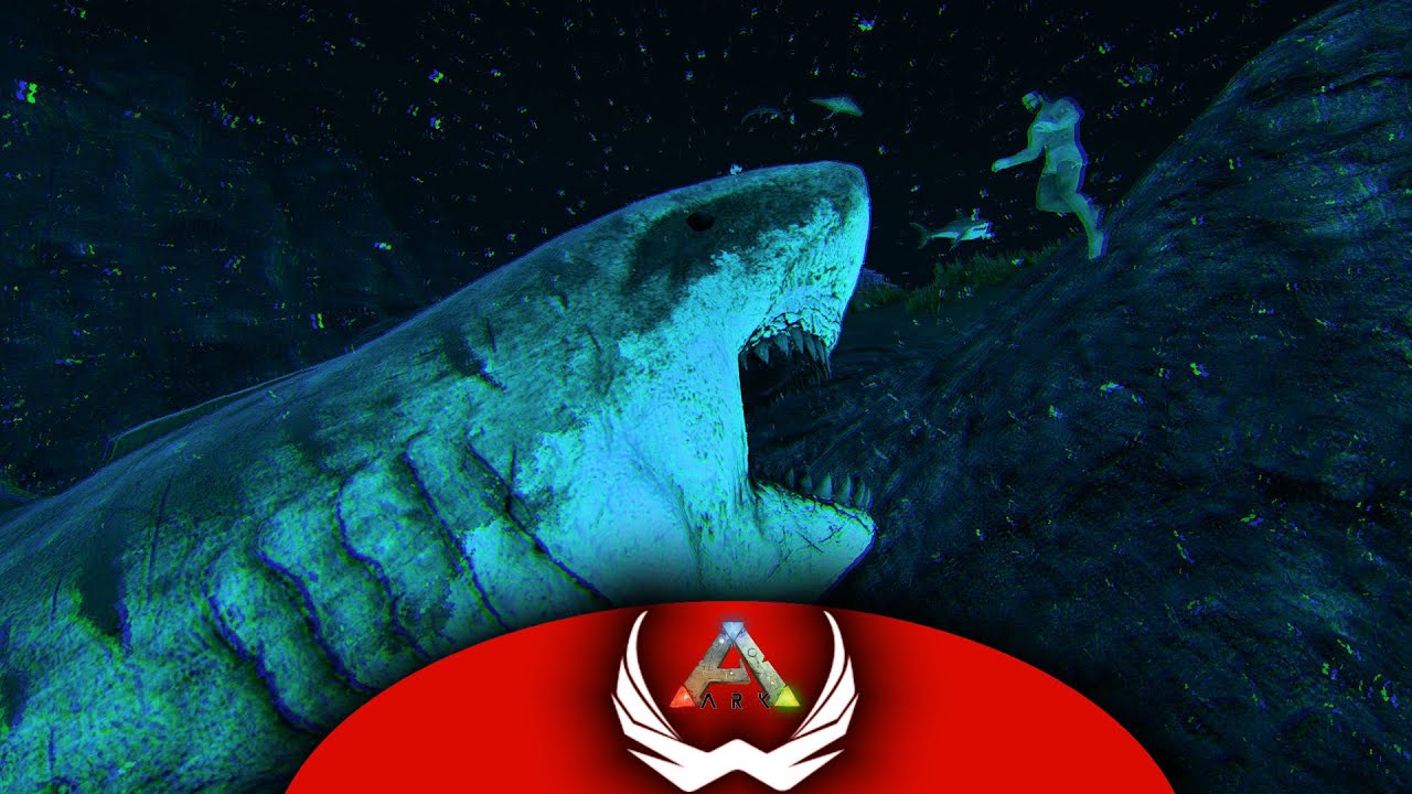 WeVenture Out to Sea and Tame a Megalodon! | Journey Through the Ark | EP30