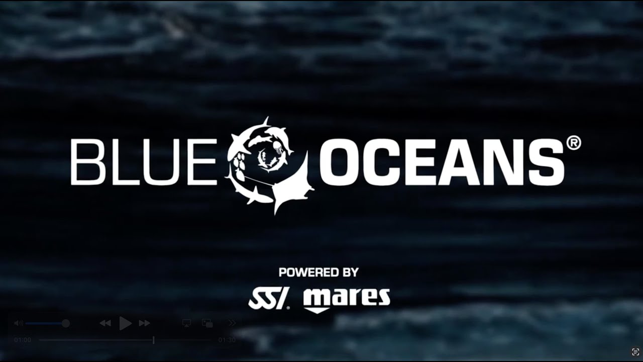 Blue Oceans