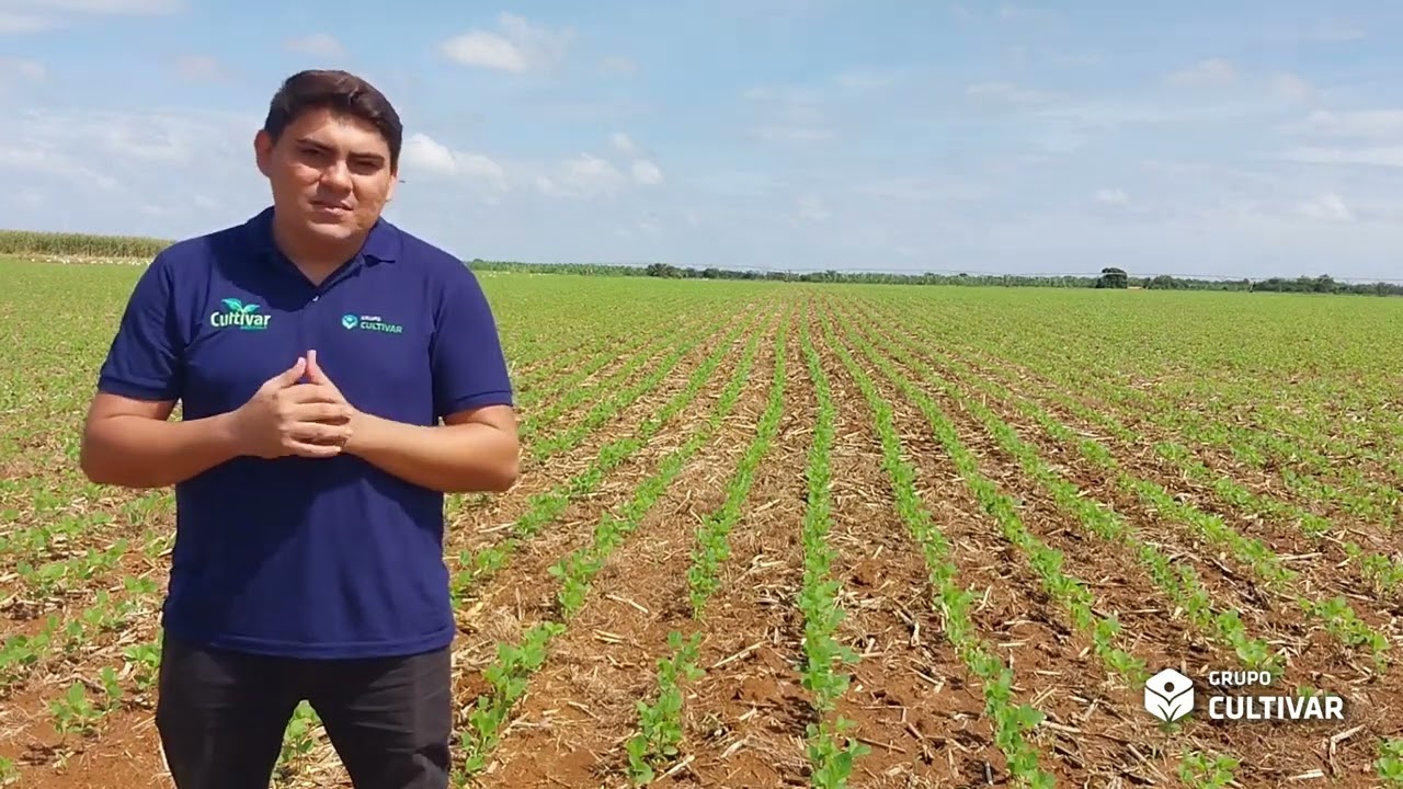 CONFIRA OS RESULTADOS DA APLICAÇÃO DE ZAPP QI + NATURAMIN